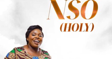 Favour Uzo - Nso (Holy) [Official Audio]